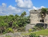 MEX_0024