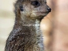 nam_0056