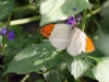 nat_0048