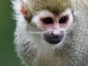 nat_0049