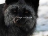 nat_0052