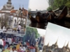 collage_thailand